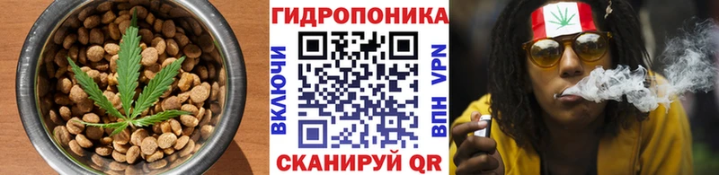 цена наркотик  Вольск  Cannafood конопля 