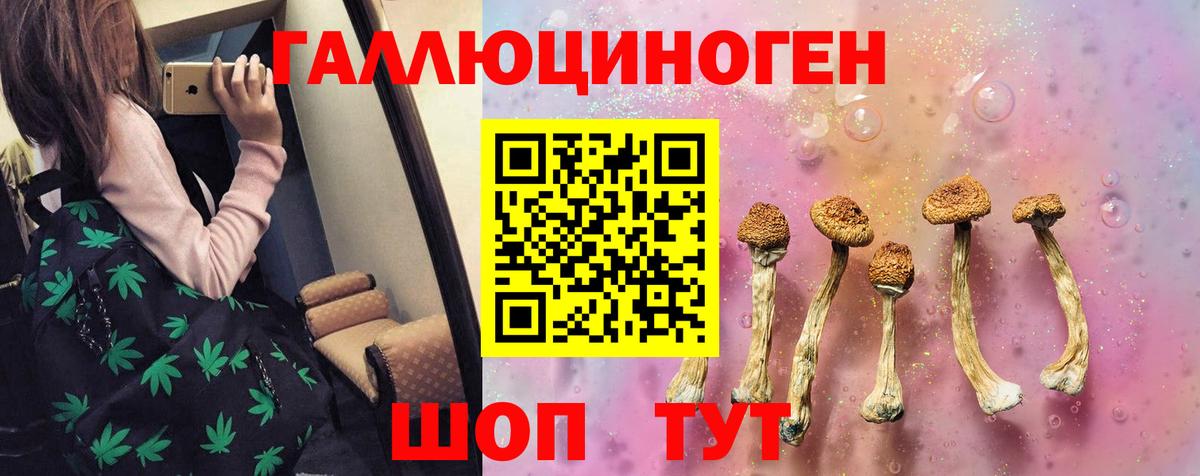 Галлюциногенные грибы Magic Shrooms Вольск